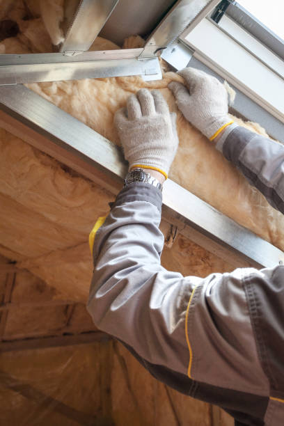 Best Insulation Installation Services in Cassville, MO